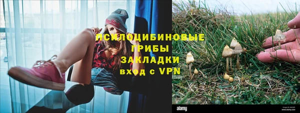 кокс Аркадак
